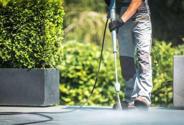 Best Driveway Cleaning and Restoration in Hanover Park, IL